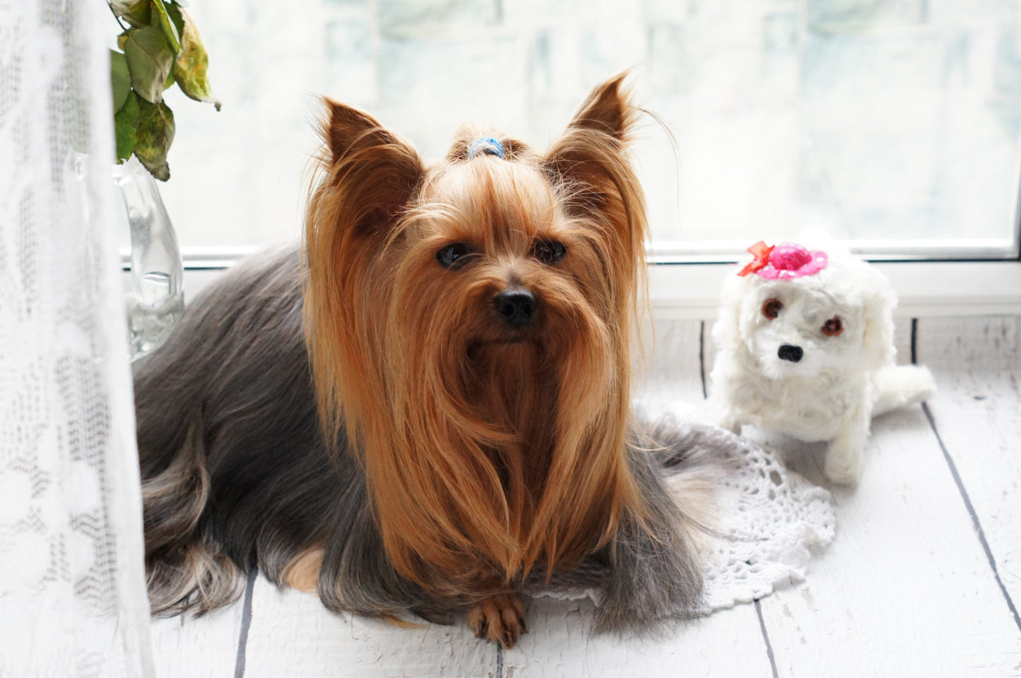 3-in-1 SteamPaw™ Grooming & Shedding Brush