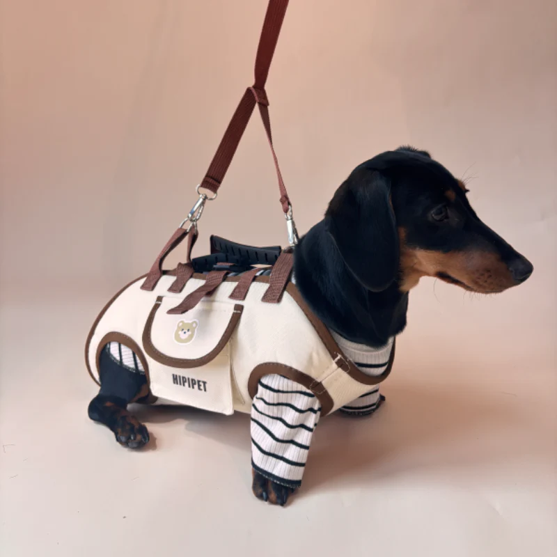 PawPack™ 3-in-1 Pet Adventure Carrier