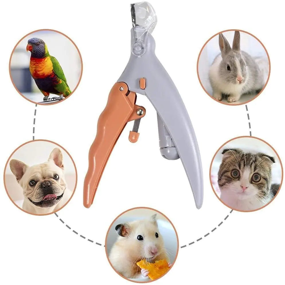 LED Pet Nail Clipper with Scissors and Magnifying Glass